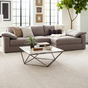 Living room carpet floor | Joseph's Flooring