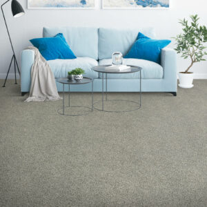 Soft carpet for living room | Joseph's Flooring