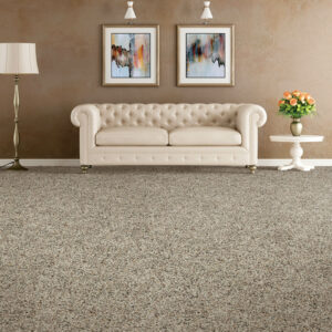 Soft carpet | Joseph's Flooring
