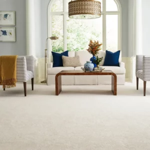Carpet in living room | Joseph's Flooring