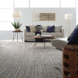 Carpet in a modern living room | Joseph's Flooring