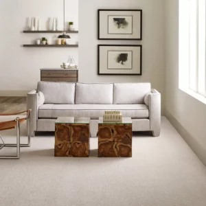 living room Carpet | Joseph's Flooring