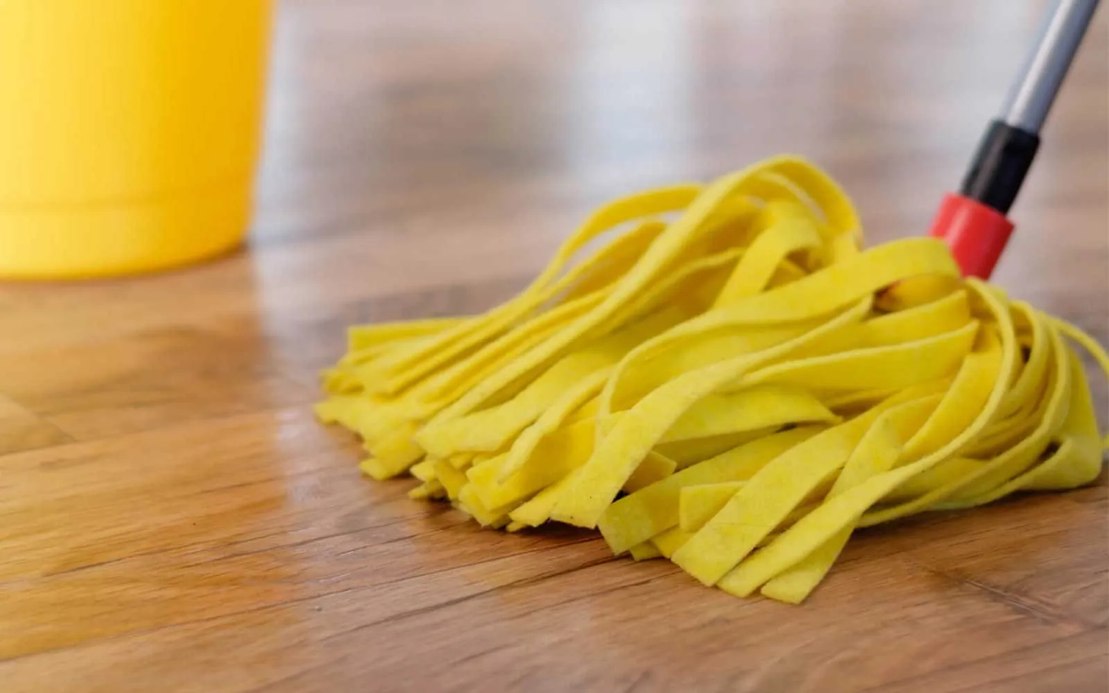 imgi_35_laminate-care-img-2-1 imgi_35_laminate-care-img-2-1